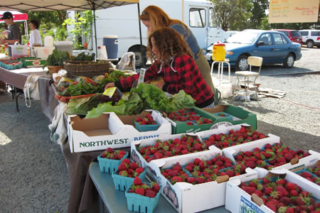 2009-0618_farmers_market.jpg