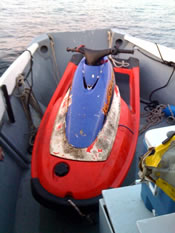 2010-0904_mudhen_trip.jpg