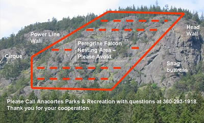 2008-0629_peregrine_falcons.jpg 2008-0629_peregrine_falcons.jpg