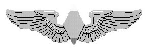 2009-0319_wasp_wings.jpg 2009-0319_wasp_wings.jpg
