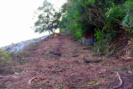 Trail construction photo 2009-0805_guemes_trail-3.jpg