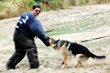 Anacortes Now Praise For Missing Dog Trainer Anacortes Now Praise For Missing Dog Trainer