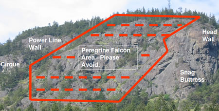 2010-0511_falcon.jpg 2010-0511_falcon.jpg