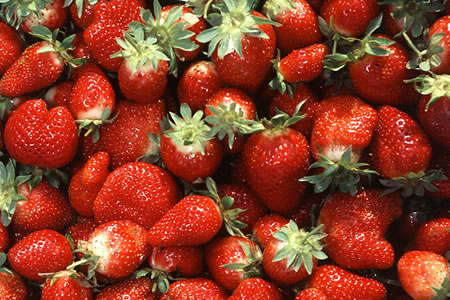 2010-0618_strawberries.jpg 2010-0618_strawberries.jpg
