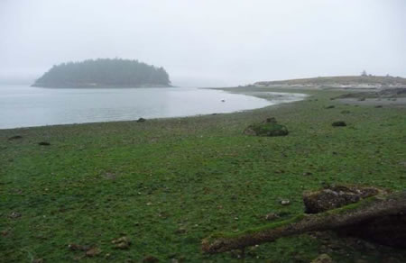 2010-0902_kukutali.jpg 2010-0902_kukutali.jpg