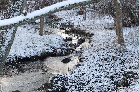 2011-0109_winter_stream.jpg 2011-0109_winter_stream.jpg