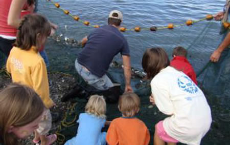 2011-0125_beach_watchers.jpg 2011-0125_beach_watchers.jpg