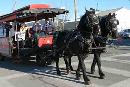 2012-1119-carriage-rides.jpg 2012-1119-carriage-rides.jpg