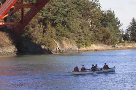 2013-0202-island-star