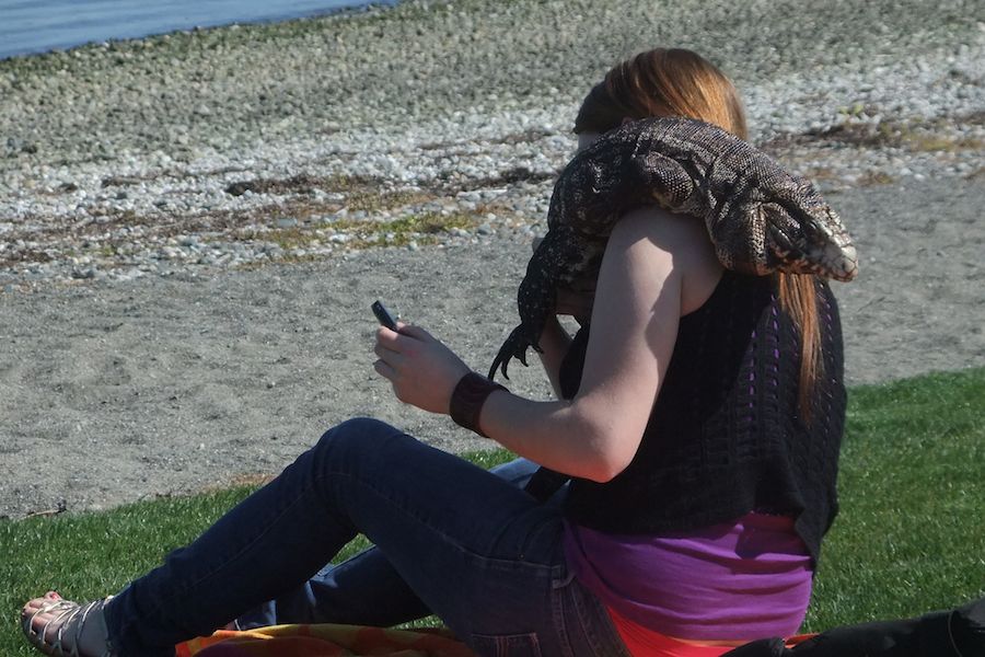 2013-0425 sunny tegu