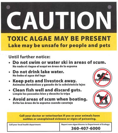 2013-0815-algae-bloom