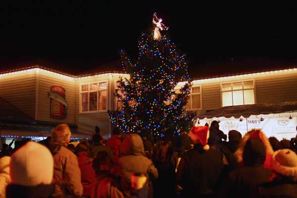 2013-1206-tree-lighting