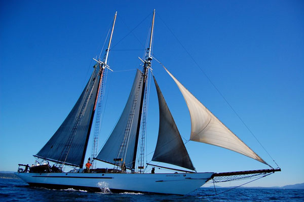 2014-0604-adventuress