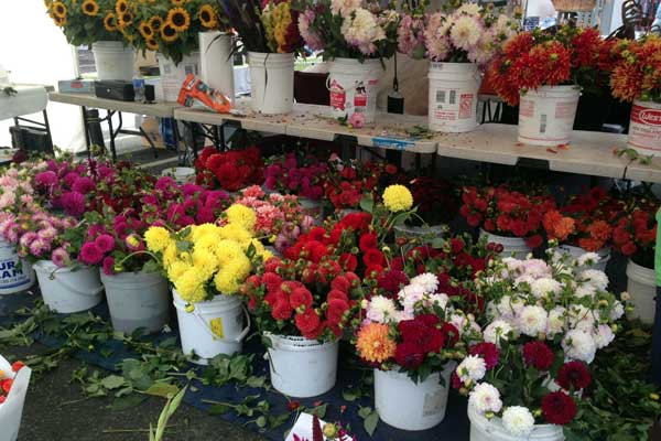 2014-0830-flowers-farmers-market