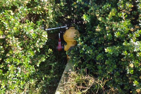 2014-0906-matress-fire2