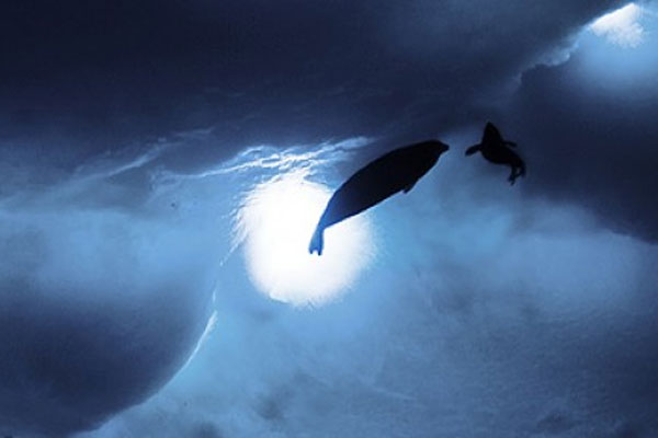 2014-0925-last-ocean