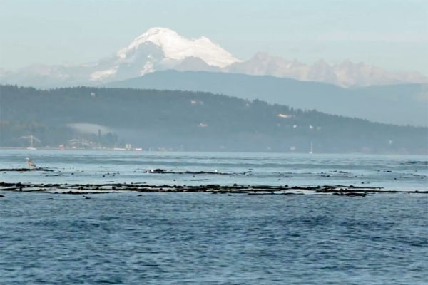 2014-1016-beaches-film