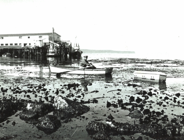 2014-1029-1Coffin Spill