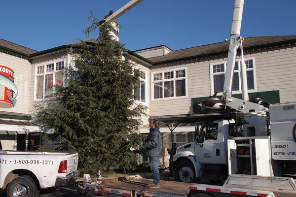 2014-1203-community-tree