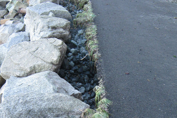 2014-1203-trail-damage1