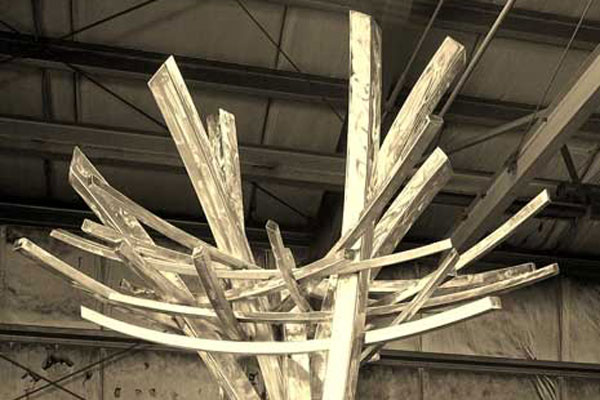 2015 0127 eagles nest1