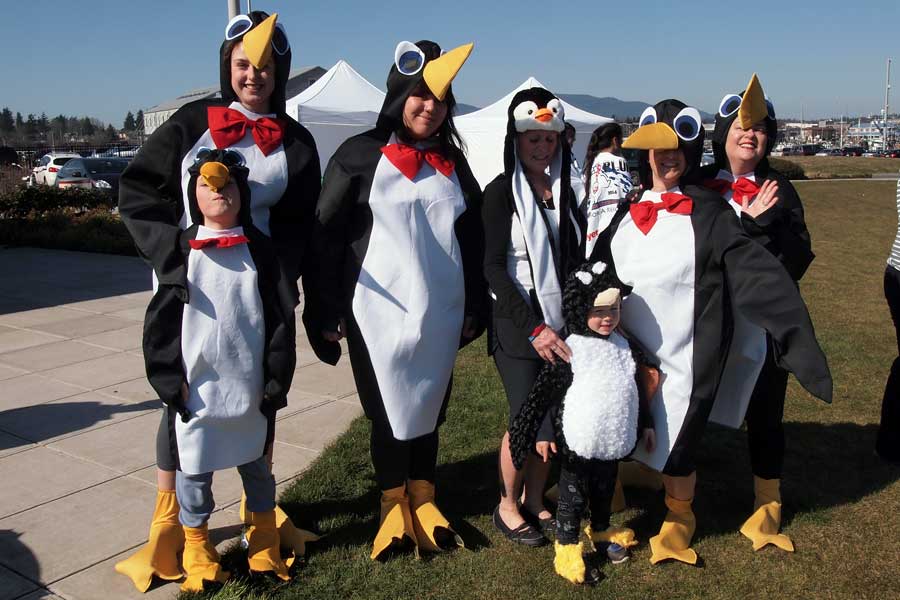 2015 0307 polar penguins1