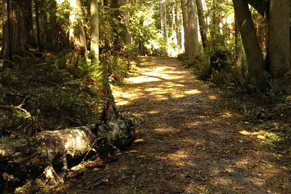 2015 0830 washington park 600