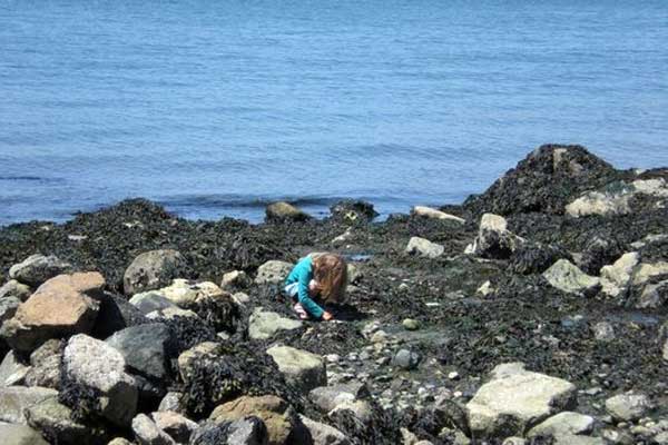2016 0611 tide pools 600