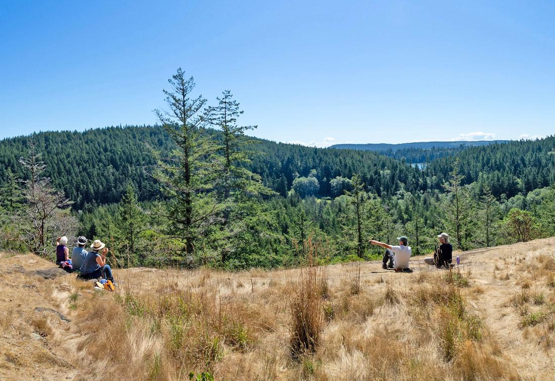 Photo of several people enjoying a view of a mountain forest.