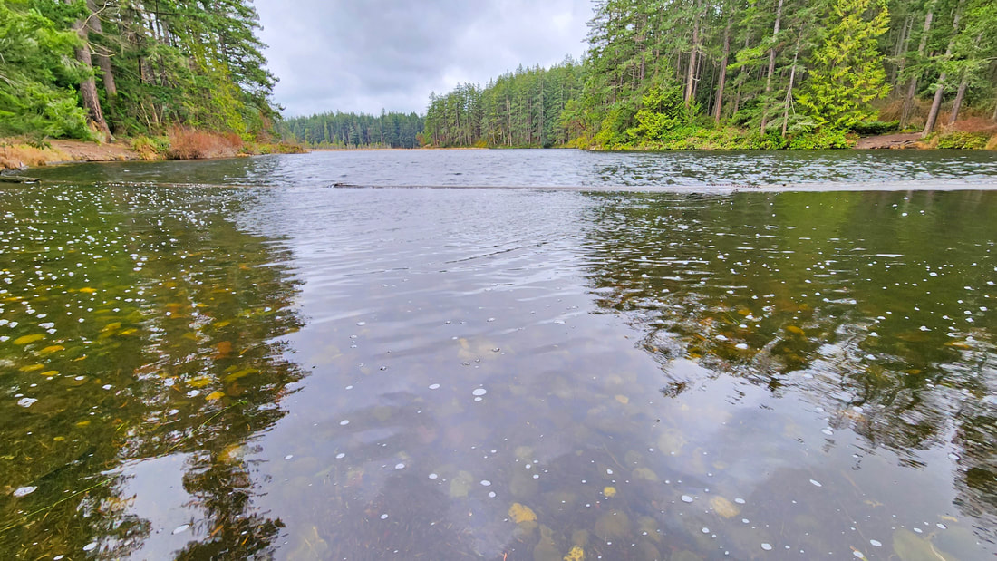 2024-0307-hikingclosetohome