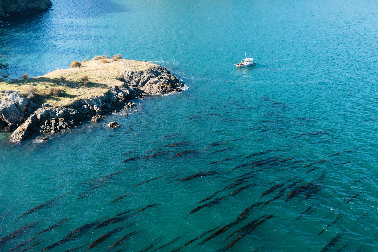 David Moskowitz/High Country News