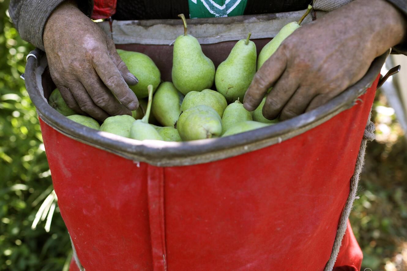 2024-0723-farmworkers