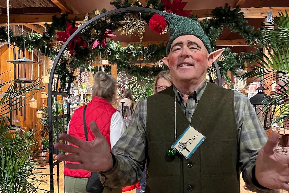 2024-1121-elves1