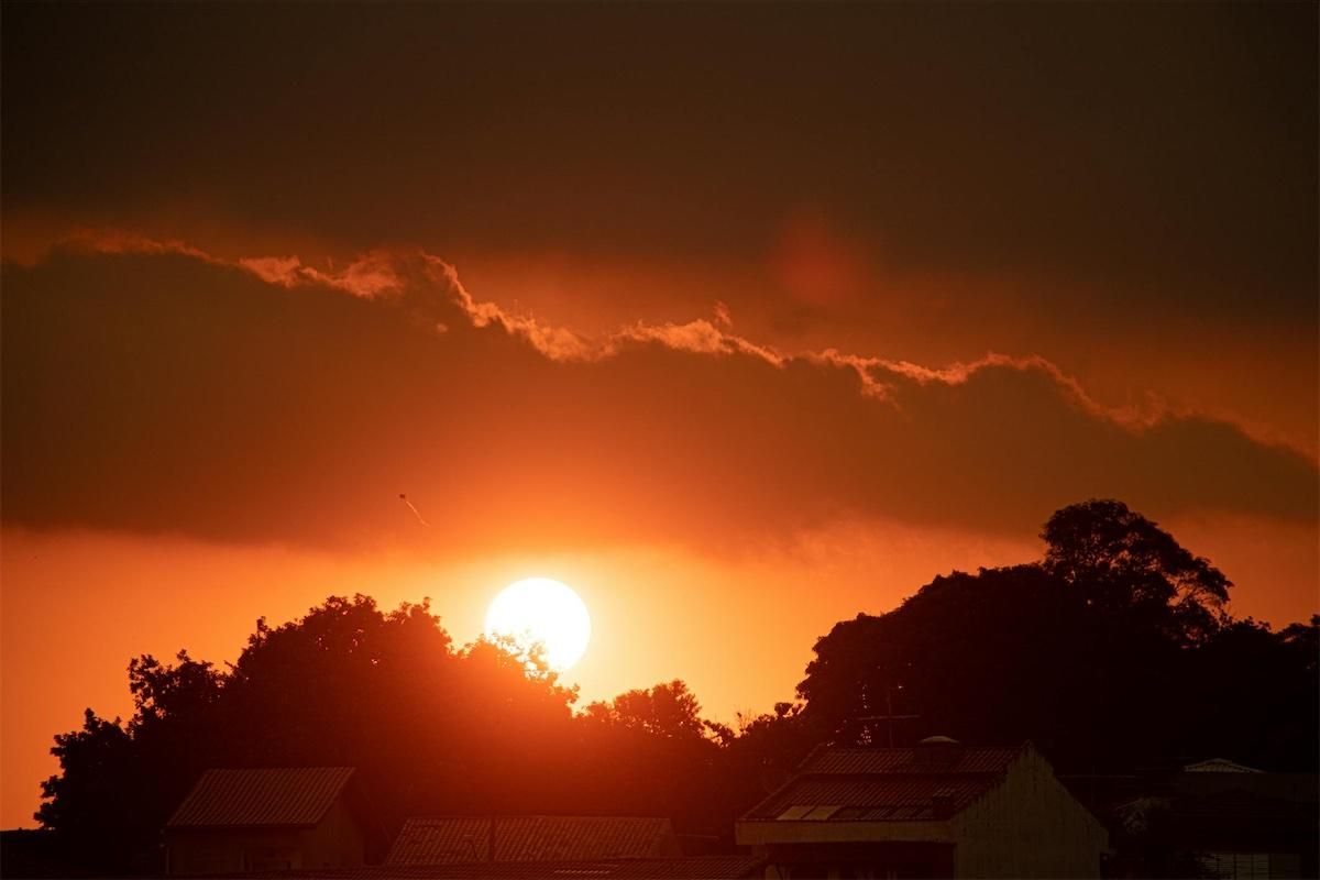 2024-1210-insurance-costs