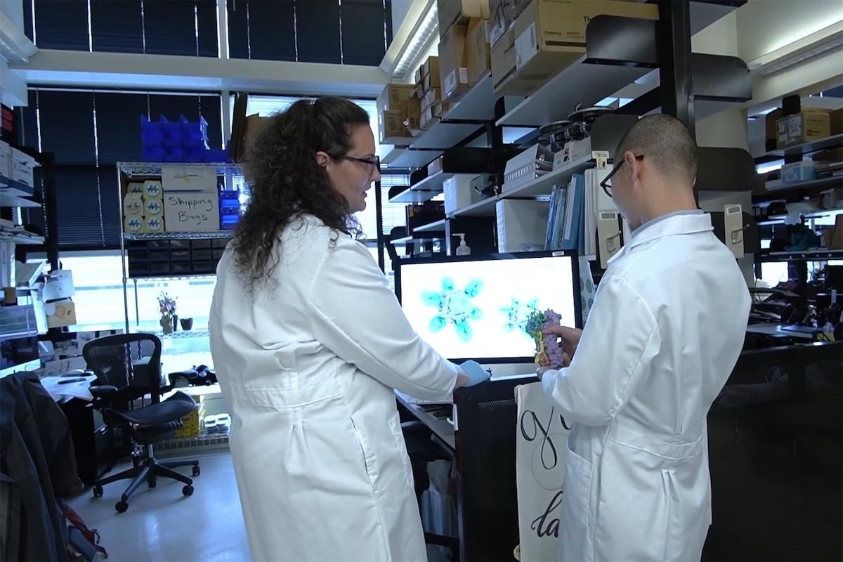 (Photo by National Institutes of Health) $160M in WA health funding axed by Trump administration