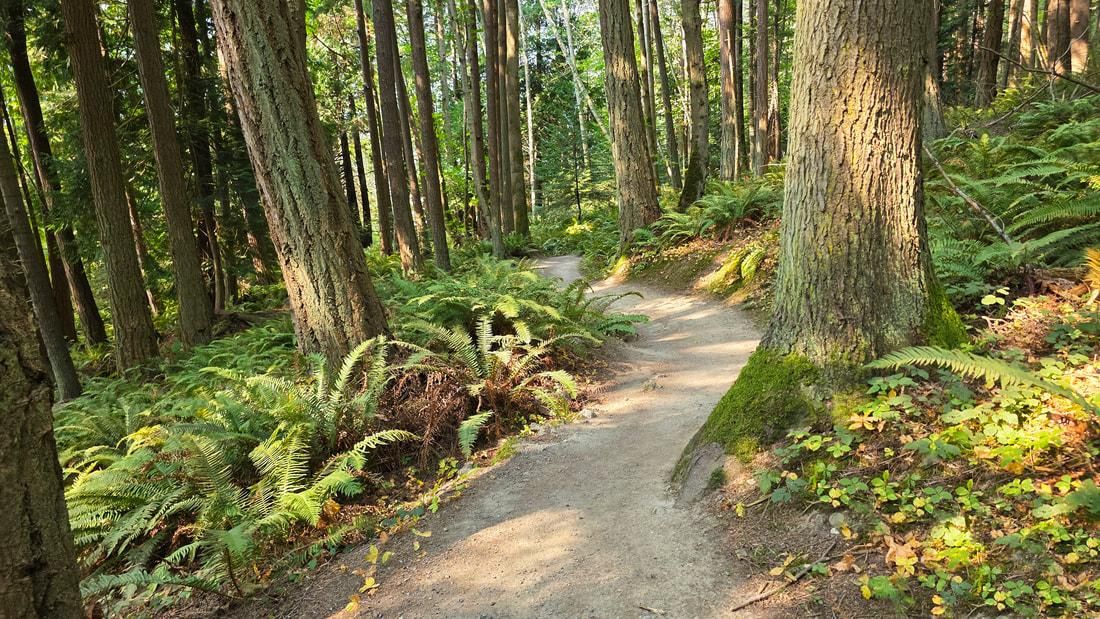 2025 0925 hiking 2