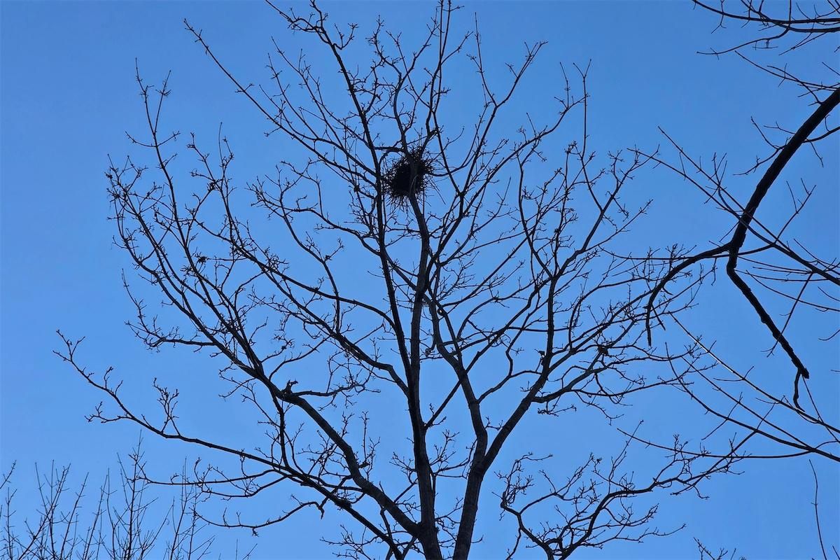 2025 1201 jack hartt 3