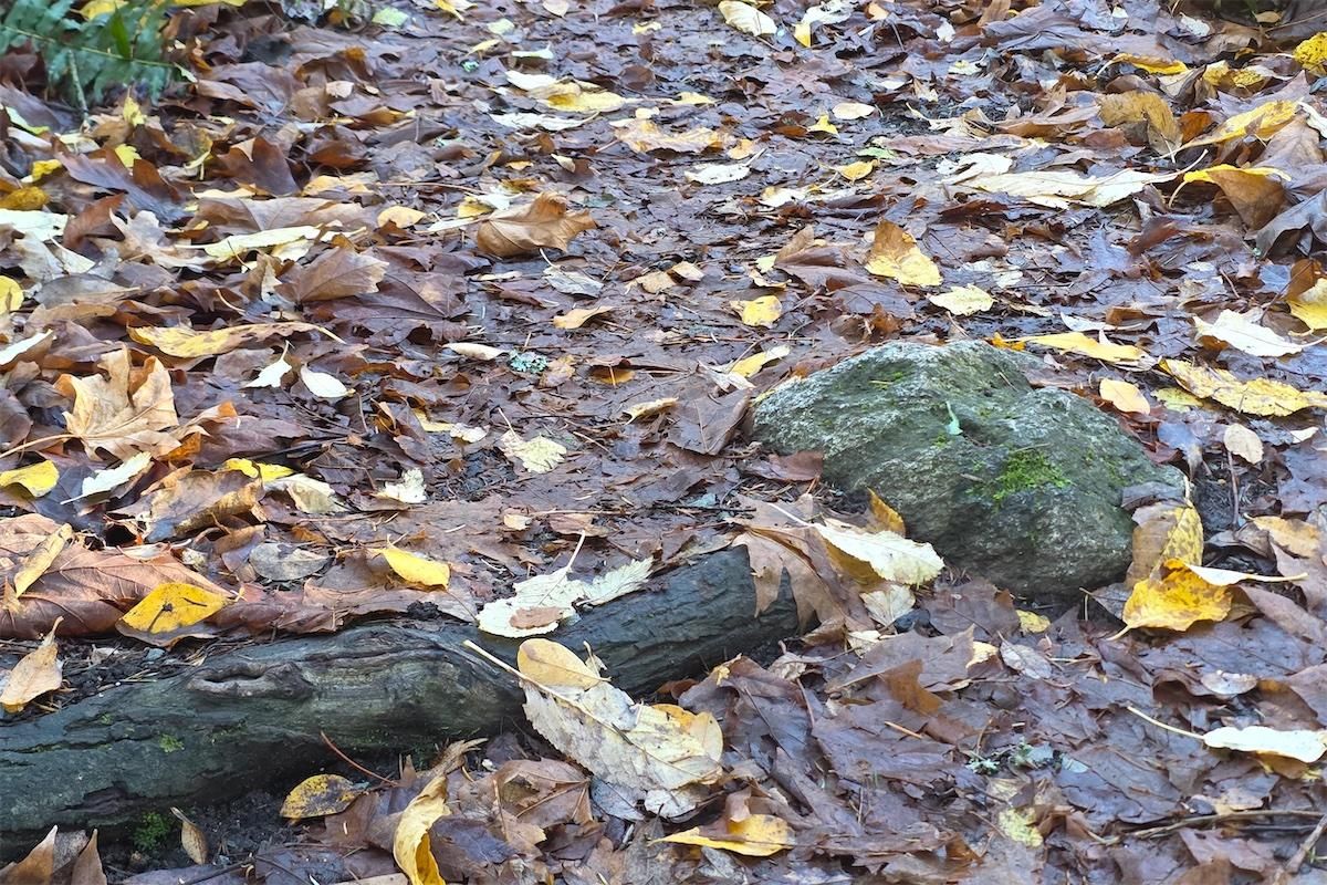 2025 1201 jack hartt 3