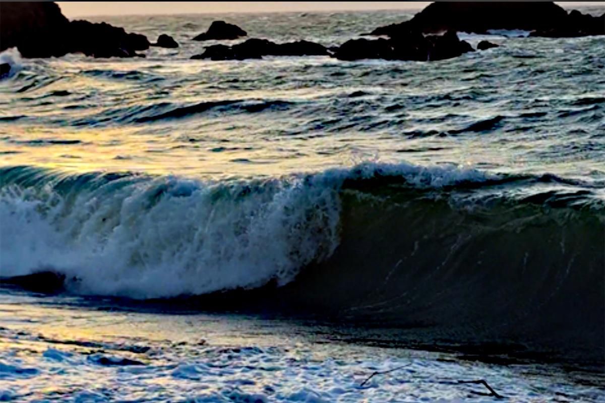 2025 1218 jack hartt 4