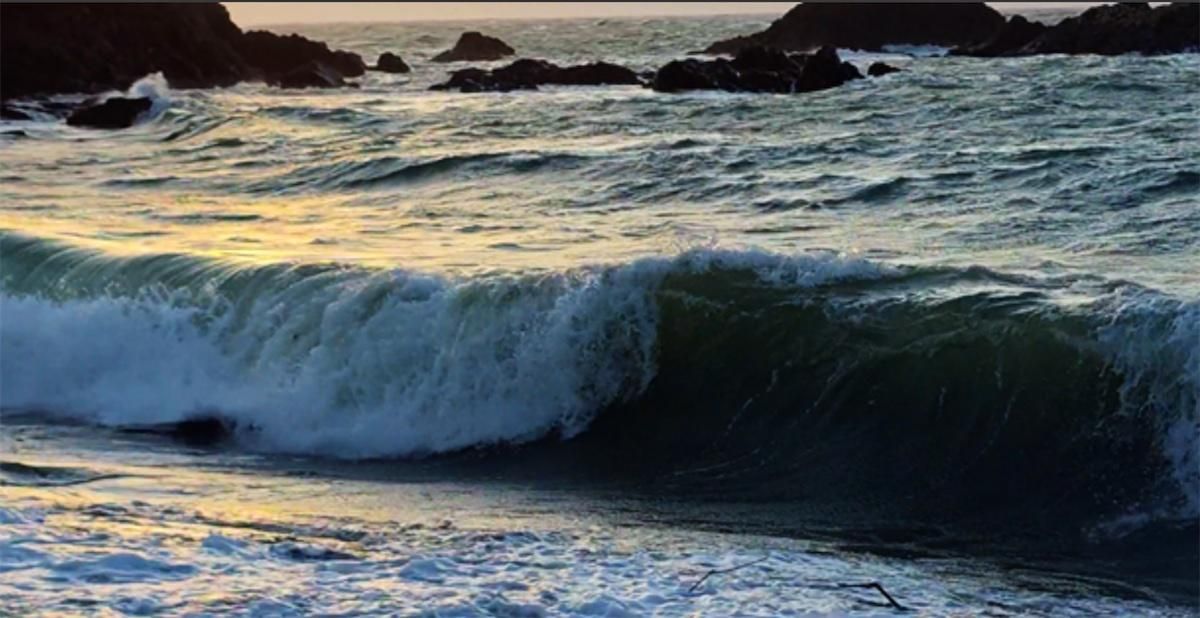 2025 1218 jack hartt 5