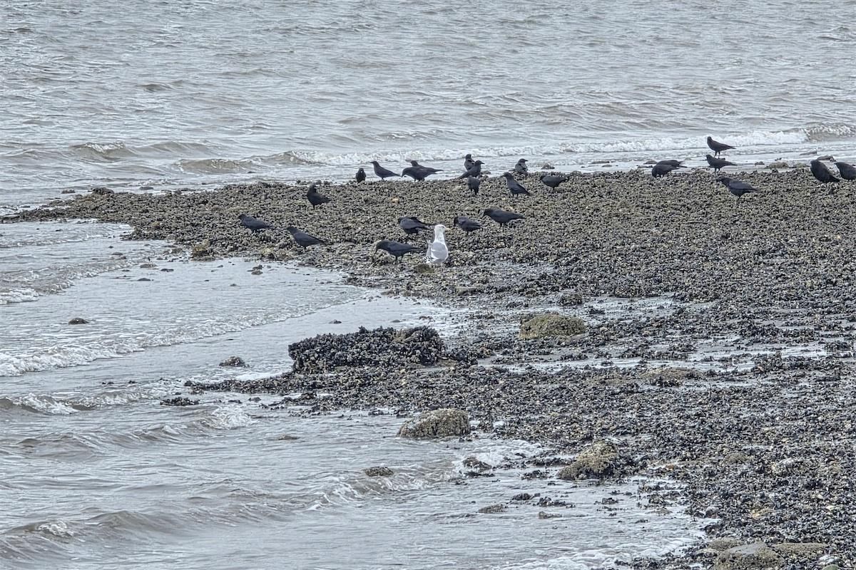 2026 0112 jack hartt 3