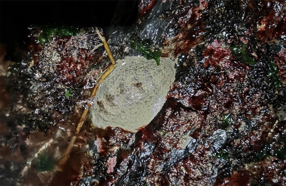 2026 0122 jackhartt 3