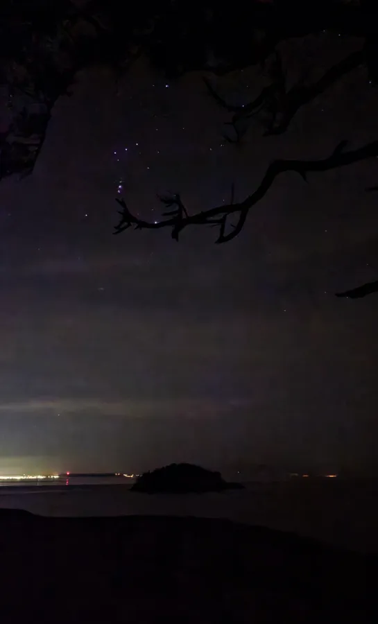 2026 0122 jackhartt 4