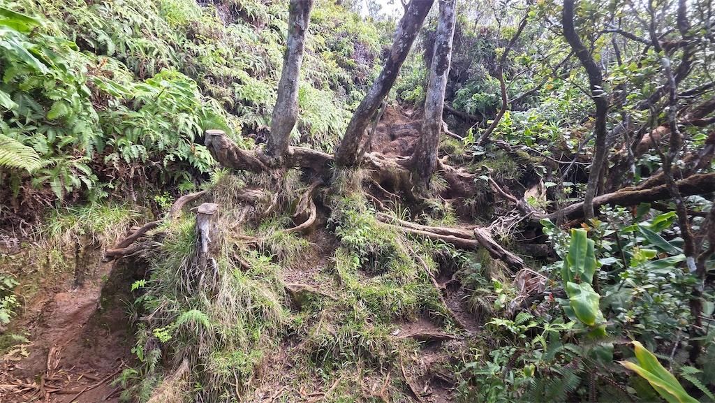 2026 0215 jackhartt 3