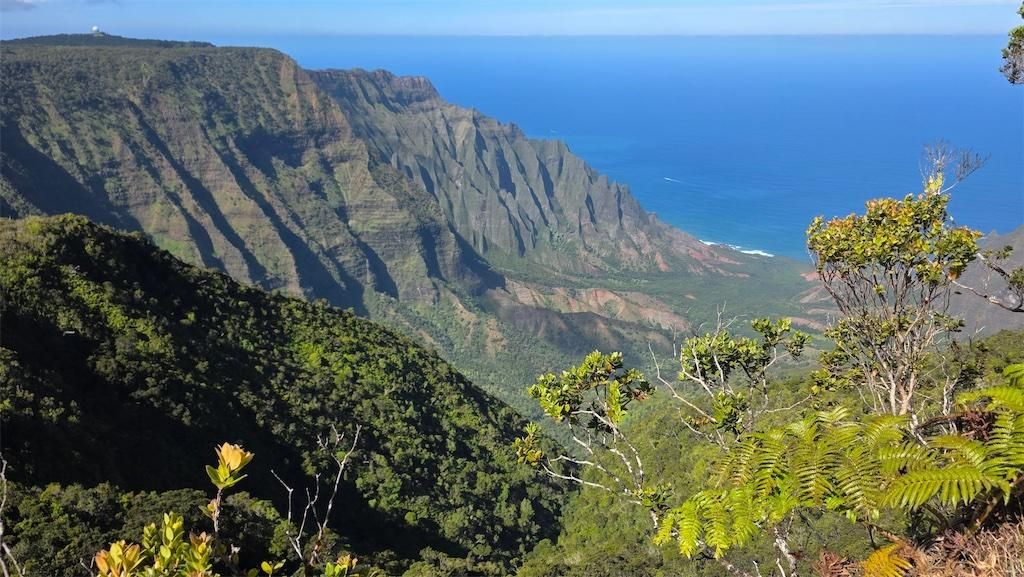 2026 0215 jackhartt 4