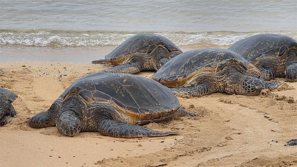 2026 0215 jackhartt 5